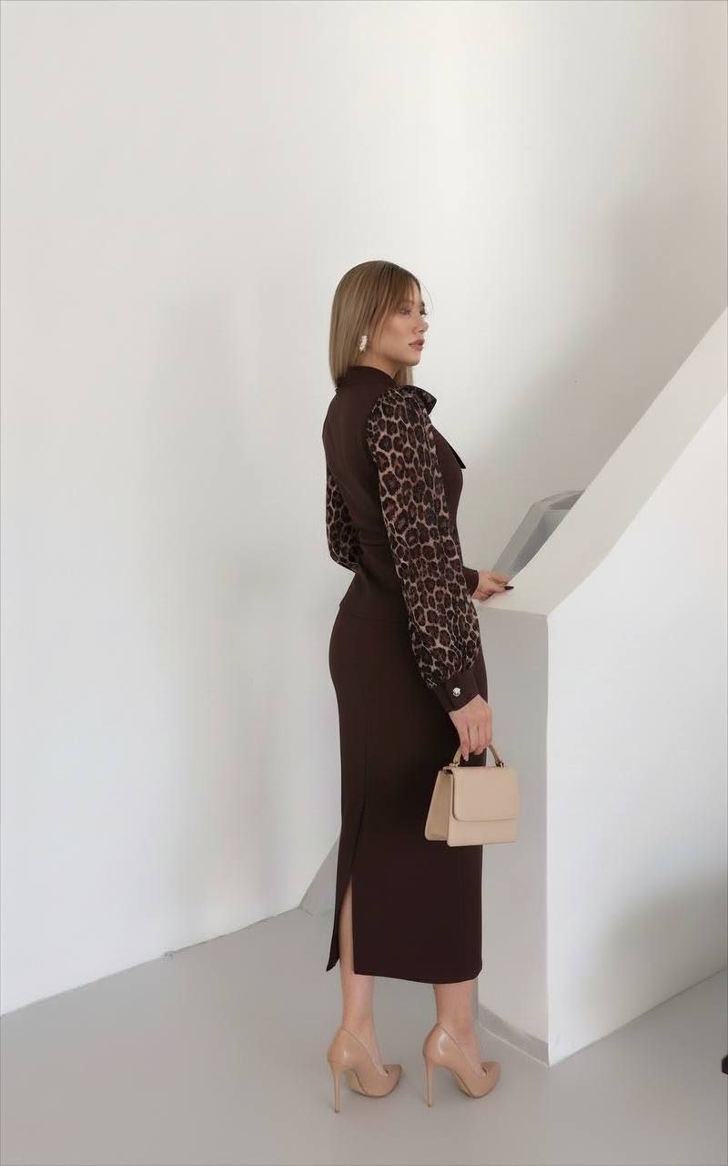 set. set - الصورة 2